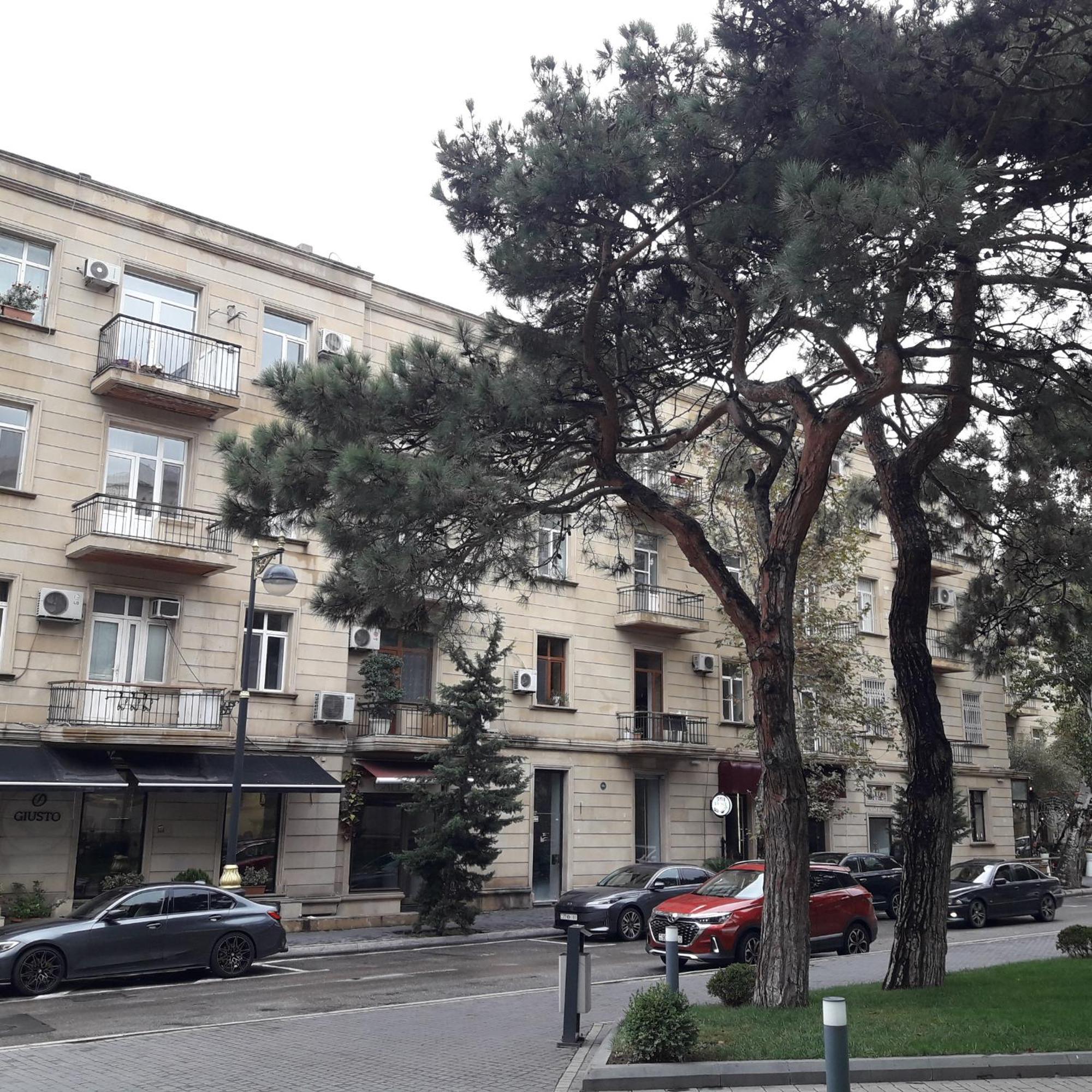 Apartment Niyazi 5 Baku Extérieur photo